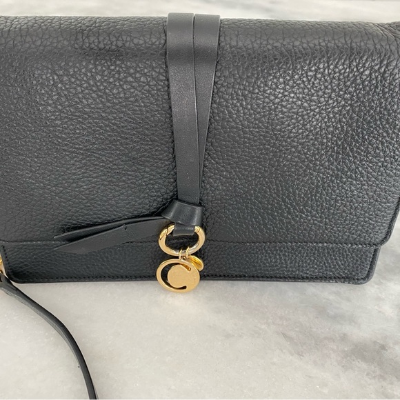 Chloe Alphabet Pebbled Leather Chain Crossbody Bag - Picture 4 of 8